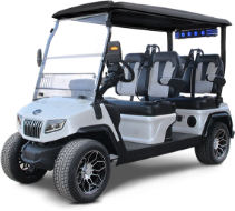 4 Passenger Golf Carts for sale in St. Augustine, FL